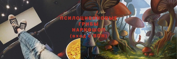 мяу мяу мука Новозыбков
