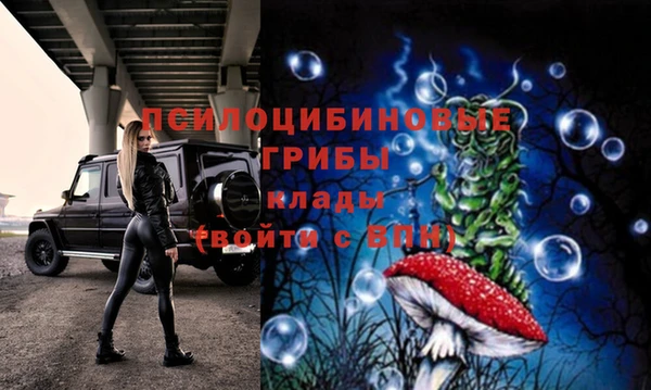 мяу мяу мука Новозыбков