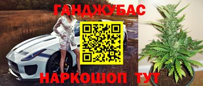 мдма Новозыбков