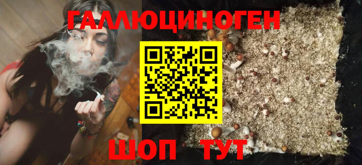 Псилоцибиновые грибы GOLDEN TEACHER Югорск