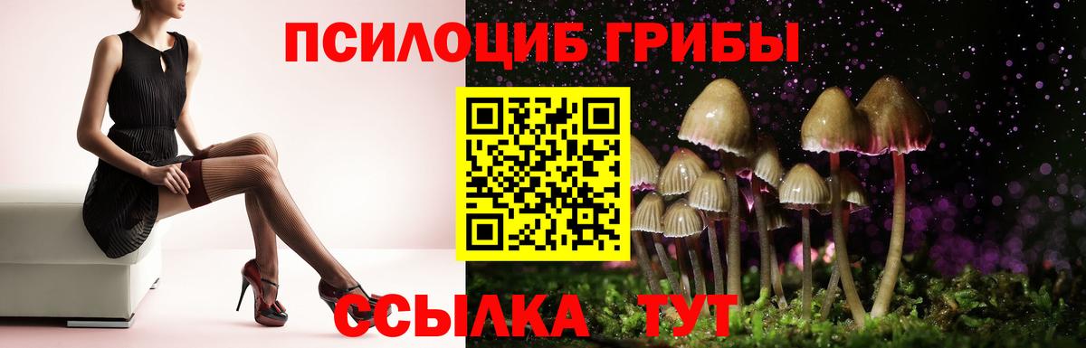 Галлюциногенные грибы мухоморы Югорск