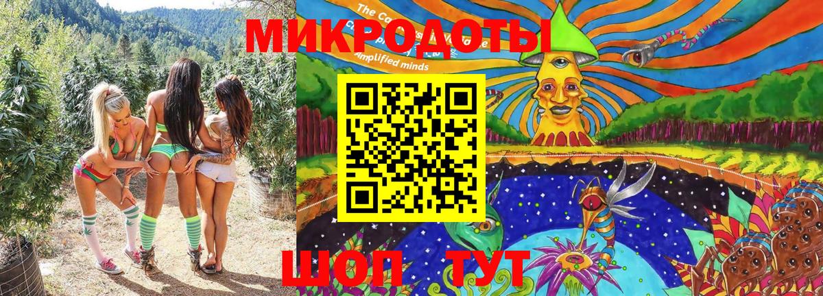 Псилоцибиновые грибы Psilocybine cubensis  Югорск  Галлюциногенные грибы мицелий 